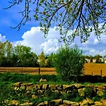 Boutiquehotel The Sjinn Panzió 4*