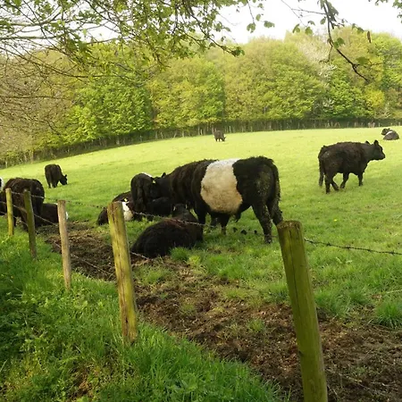 Frühstückspension Boutiquehotel The Sjinn Schin op Geul