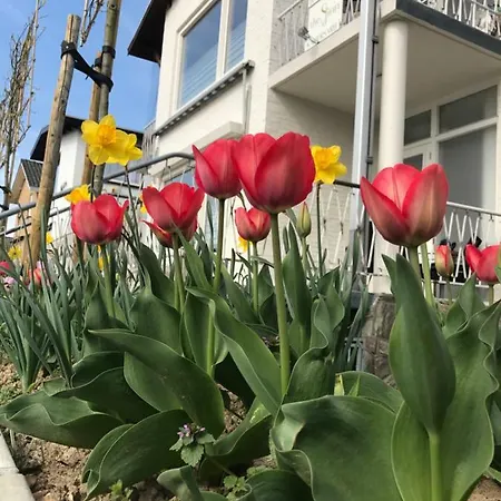 Boutiquehotel The Sjinn 4*