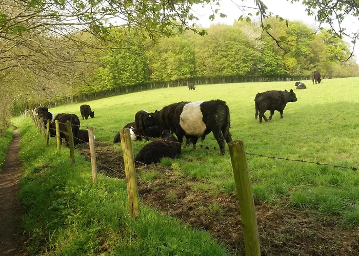 Bed & Breakfast Boutiquehotel The Sjinn Schin op Geul