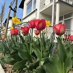 Boutiquehotel The Sjinn 4*