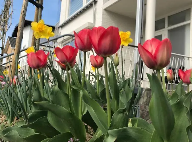 Boutiquehotel The Sjinn 4*